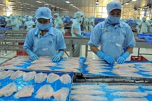 Xuất khẩu cá tra Việt Nam sang EU có dấu hiệu ấm dần