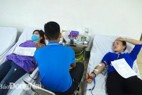 Hiến máu tình nguyện tại Posung năm 2019