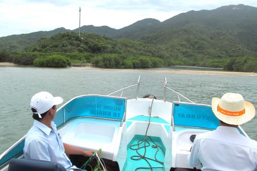 Tìm giải pháp bảo tồn rừng ngập mặn