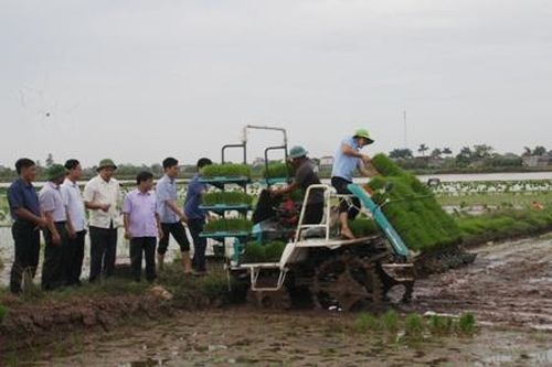 Triển khai dự án sản xuất lúa theo hướng hữu cơ gắn với cấy máy tại xã Khánh Trung