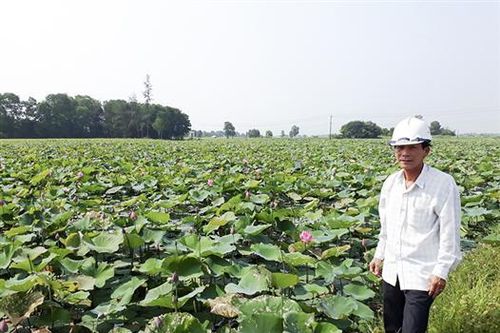 Ghi nhận ở một chi hội nông dân vùng trũng