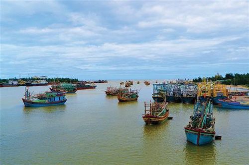 Khát vọng vươn khơi xa
