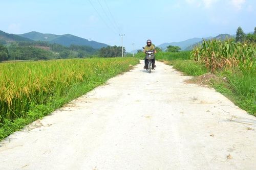 Thực hành dân chủ ở Hợp Thành