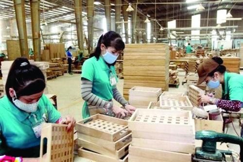 Doanh nghiệp gỗ Việt phải chủ động hơn nữa