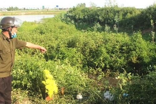 Hải Dương: Người đàn ông mất tích 3 ngày được phát hiện tử vong dưới rãnh nước