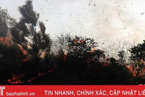 Cháy rừng ở Kỳ Trinh: 3 vụ liên tiếp, thiêu rụi hơn 50 ha rừng keo