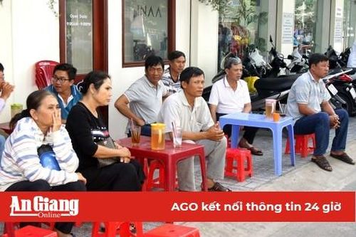 Khi phụ huynh 'đi thi'