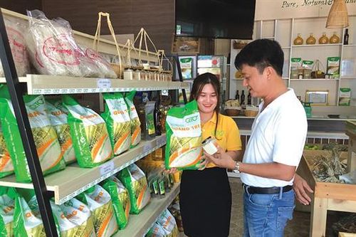 Cơm trắng mỗi ngày…