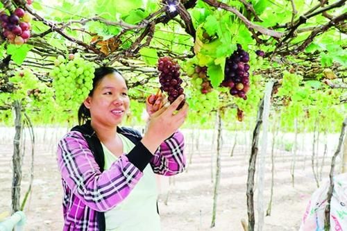 Đồng vốn nhân văn nơi miền cát trắng