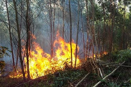 Một loạt nhà máy nhiệt điện gặp sự cố gây nguy cơ giảm phụ tải