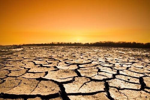 Nắng nóng khốc liệt, nông dân đánh nhau giành nước tưới