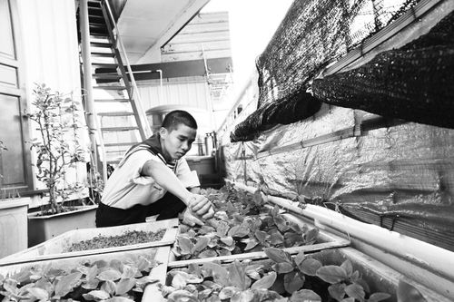 Nơi ấy đối phó với biến đổi khí hậu