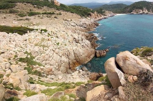 Ninh Thuận: Tour Trekking Băng Rừng Ngắm Biển (1 ngày)