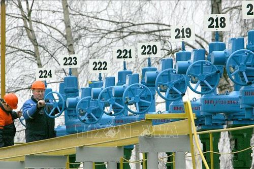 Nga điều tra 13 nghi can trong vụ gây ô nhiễm dầu đường ống Druzhba