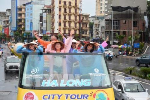Lượng khách quốc tế đến Việt Nam có xu hướng giảm dần