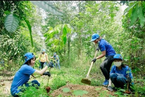 Trồng thêm rừng cho Khu Dự trữ Sinh quyển thế giới Đồng Nai