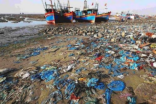Chống rác thải nhựa: 'Cuộc chiến' của toàn xã hội