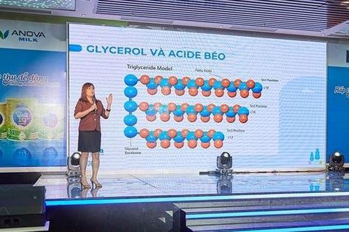 Xuất hiện sữa chứa dưỡng chất vàng OPO đang được các mẹ săn tìm