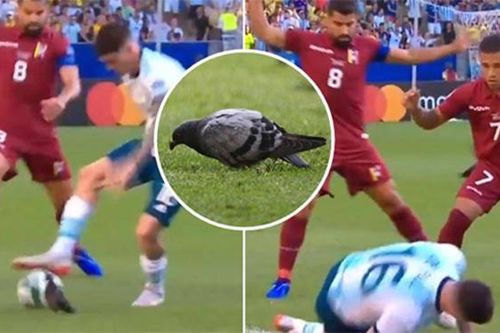 Tiền vệ De Paul của tuyển Argentina gây sốt khi bị... chim bồ câu đốn ngã trên sân