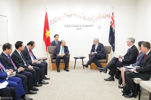 Thủ tướng gặp các nhà lãnh đạo Nga, Hàn Quốc, Đức, Australia, một số tổ chức quốc tế