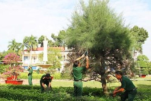 Nỗ lực, sáng tạo tu sửa cảnh quan