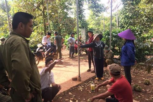 Lý do hàng trăm người dân đứng dưới gốc sầu riêng 'ngẩn tò te'