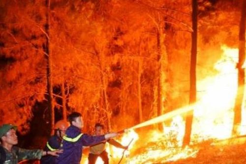 Hà Tĩnh: Cấp bách tăng cường phòng, chống cháy rừng