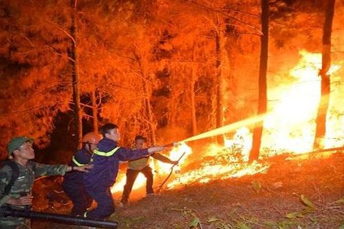 Cháy rừng ở Hà Tĩnh: Di dời khẩn cấp 100 hộ dân và trạm xăng khỏi vùng nguy hiểm