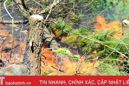 Lần thứ 3 đám cháy bùng phát, 500 người đổ về rừng Xuân Hồng dập lửa