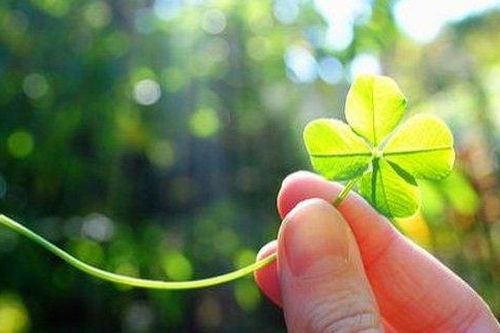 May mắn nào sẽ đến với bạn trong tháng 7?