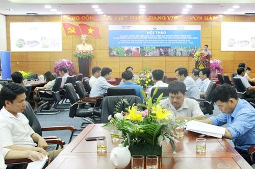 Đánh giá hiệu quả thực hiện quy hoạch vùng trồng quế