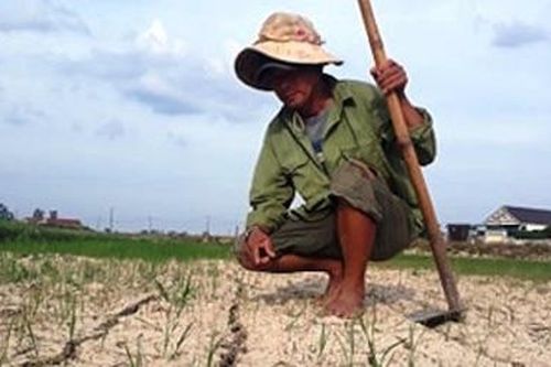 Quảng Trị khẩn cấp triển khai các biện pháp chống hạn