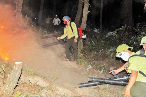 Tập trung phòng cháy, chữa cháy rừng tại các tỉnh miền trung