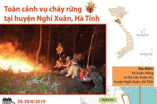 Toàn cảnh vụ cháy rừng tại Nghi Xuân, Hà Tĩnh