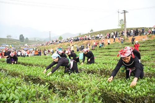 Nông thôn đổi mới nhờ sự đồng lòng