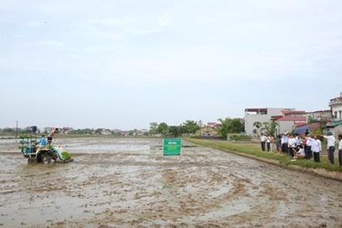 Hội nghị đầu bờ triển khai mô hình sản xuất lúa theo hướng hữu cơ tại xã Khánh Dương