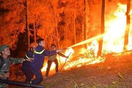 Tạo 'đường băng' ngăn đám cháy rừng, đảm bảo an toàn cho hàng trăm hộ dân