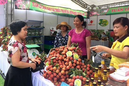 Đẩy mạnh xúc tiến thương mại, tiêu thụ nông sản