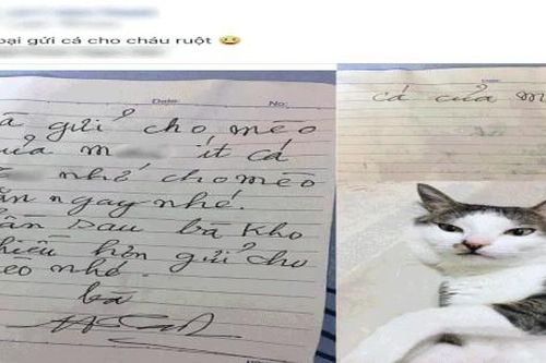 Thấy bà ngoại gửi cá kho, cháu gái đang hí hửng bỗng 'khóc ròng' vì lời nhắn của bà