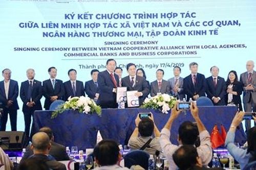 Agribank hỗ trợ thúc đẩy HTX tăng trưởng bền vững