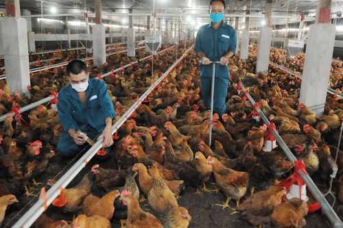 Ưu đãi thuế xuất nhập khẩu từ CPTPP
