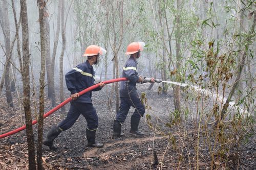 Đến lượt rừng keo ở Quảng Nam bốc cháy dữ dội