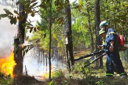 Lý lo khiến chưa thể huy động trực thăng chữa cháy rừng ở Hà Tĩnh