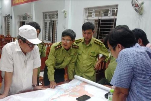 Nhiều héc ta rừng bị thiêu rụi trong đêm