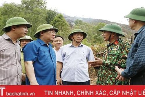 Phó Thủ tướng Vương Đình Huệ: Chủ động '4 tại chỗ' trong phòng chống cháy rừng