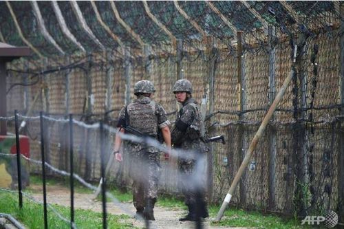 DMZ trên Bán đảo Triều Tiên – Đường biên giới Chiến tranh Lạnh cuối cùng