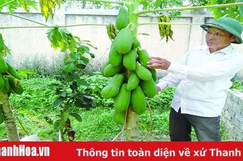 HTX khó tiếp cận nguồn vốn tín dụng phát triển sản xuất, kinh doanh