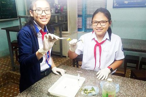 Học sinh nghiên cứu thuốc trừ sâu sinh học