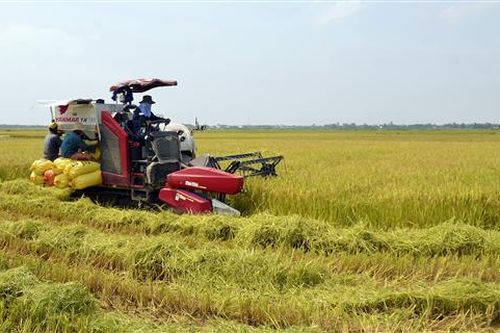 Sở Nông nghiệp và PTNT triển khai nhiệm vụ 6 tháng cuối năm 2019