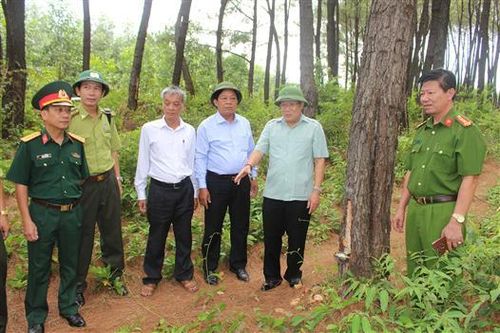 Kiểm tra công tác bảo vệ và phòng chống cháy rừng